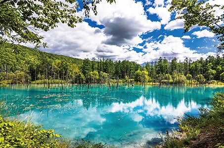 【JR岡山駅発/岡山空港着 6月16日出発】北海道一周の旅 12日間 ~クリスタルクルーザー「菫」 爽やかな風が心地よい北海道へ~2